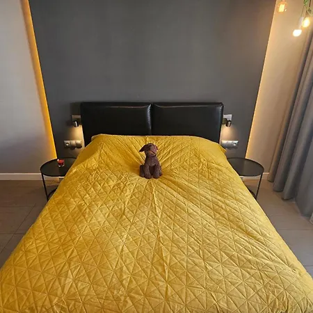 Ovo Od Dziedzinca Wroclaw