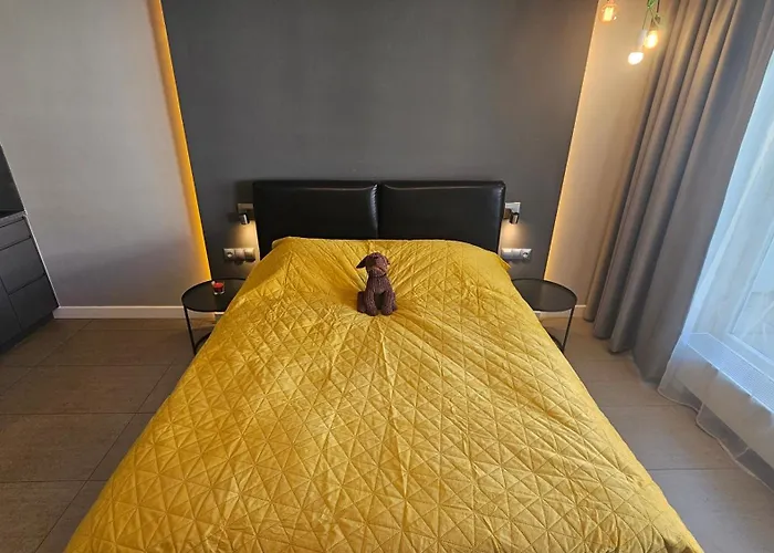 Ovo Od Dziedzinca Wroclaw